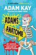 Adams anatomie