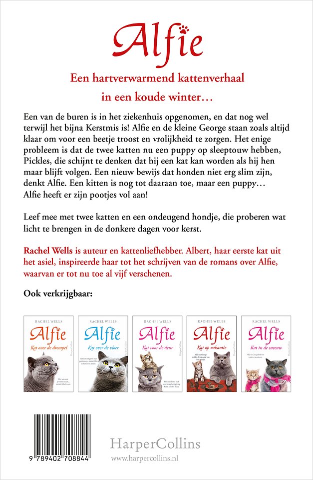 Kat in de kou