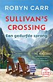 Een gedurfde sprong
