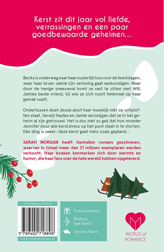 Een kleine kerstleugen