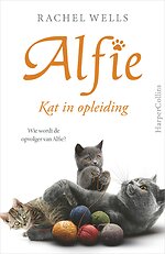 Kat in opleiding
