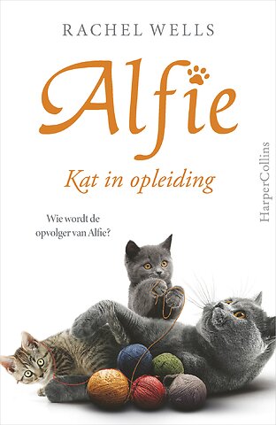 Kat in opleiding