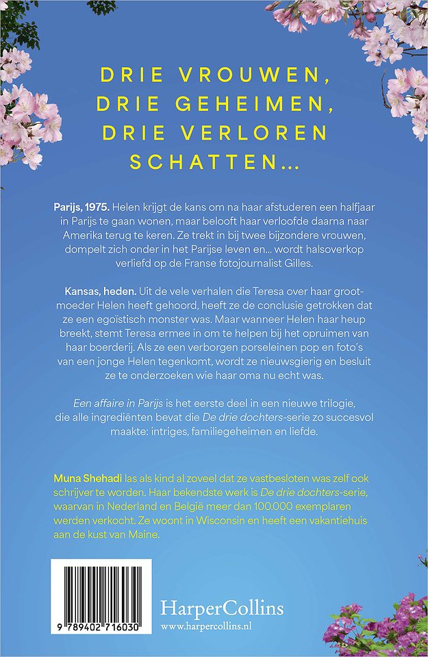 Een affaire in Parijs