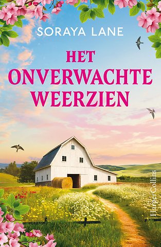 Het onverwachte weerzien