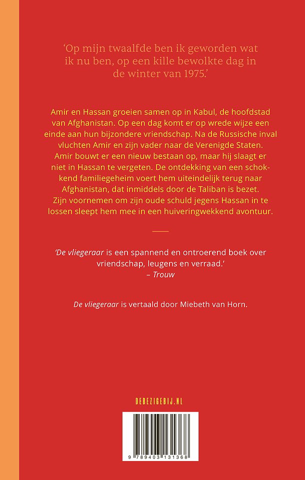 De vliegeraar