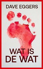 Wat is de wat