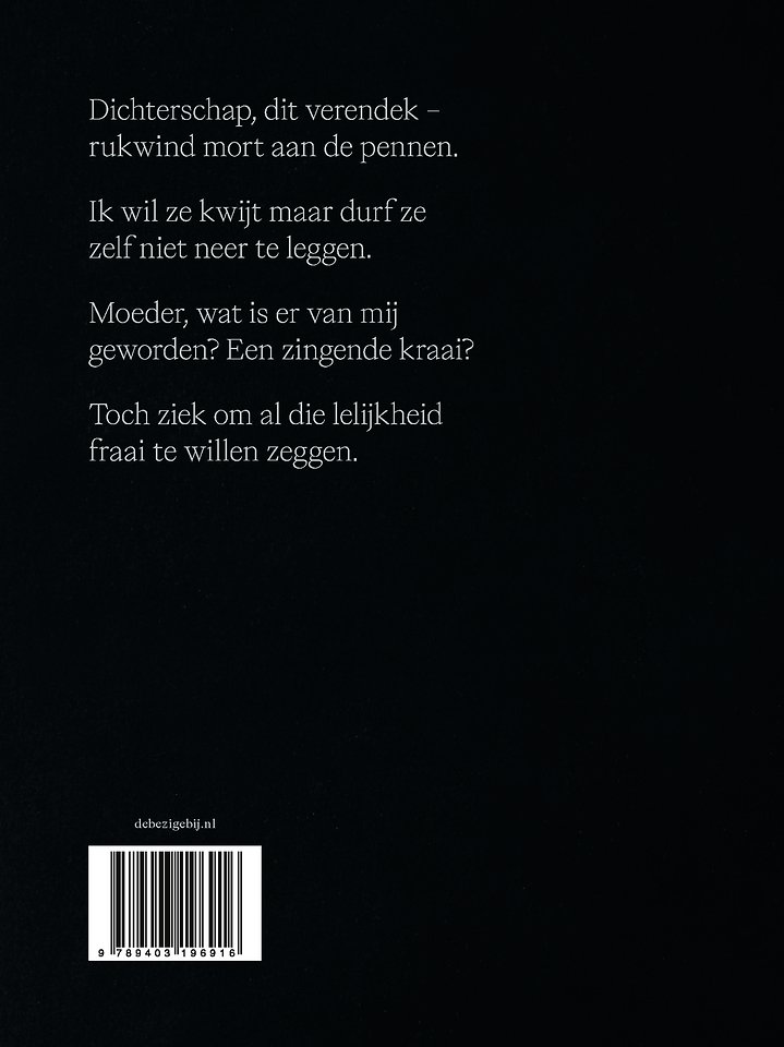 Vlerk