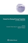 Natural Gas Flaring & Energy Transition