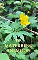 De Materberg anemoon