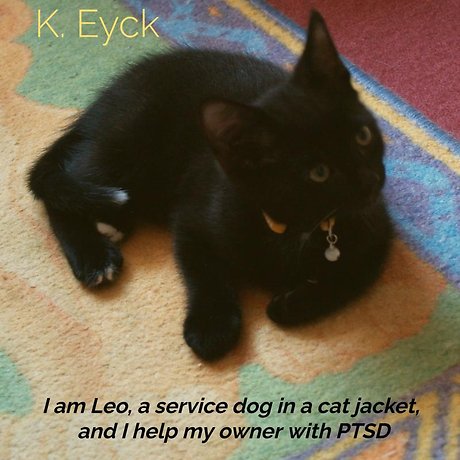 I'm Leo, a service dog in a cat jacket, and I'm helping my owner with PTSD