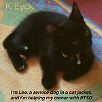 I'm Leo, a service dog in a cat jacket, and I'm helping my owner with PTSD