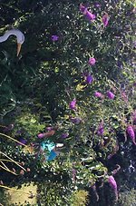 een dagboek met een dagboek met