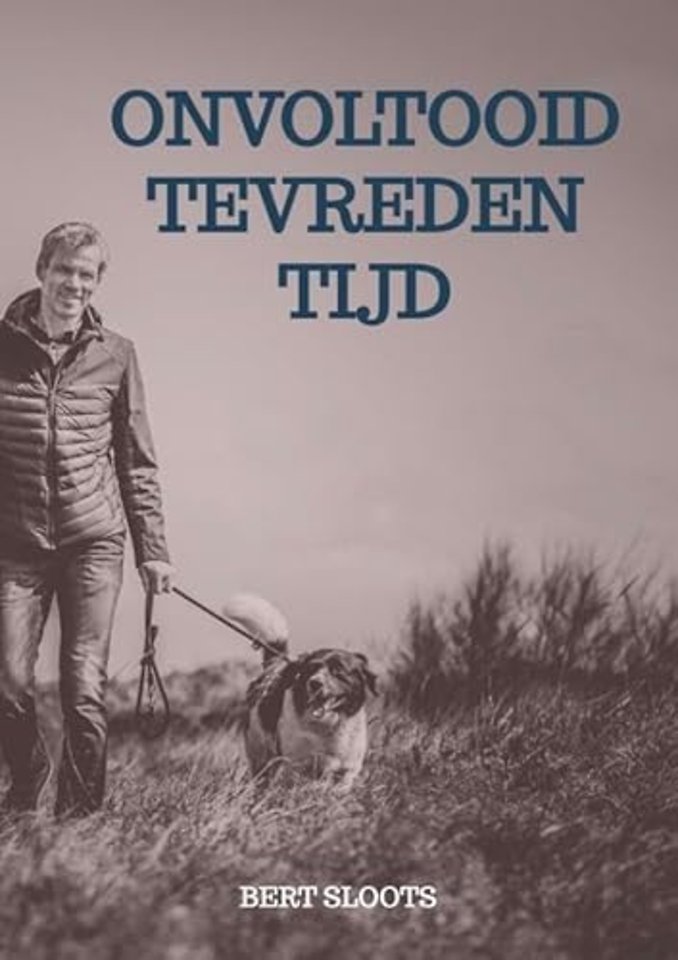 Onvoltooid tevreden tijd
