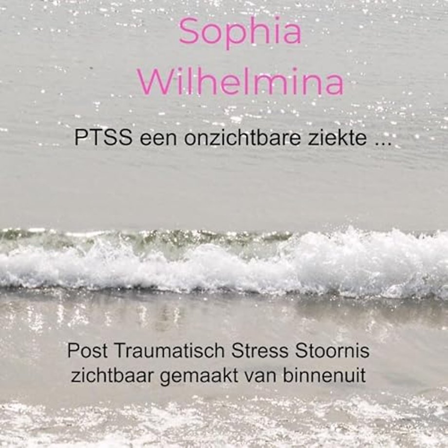 PTSS een onzichtbare ziekte ...