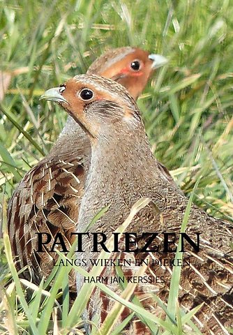 Patriezen