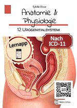 Anatomie & Physiologie 12: Urogenitalsystem