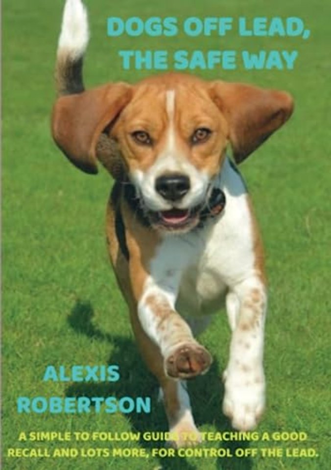 Dogs off lead, the safe way