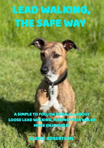 Lead walking, the safe way
