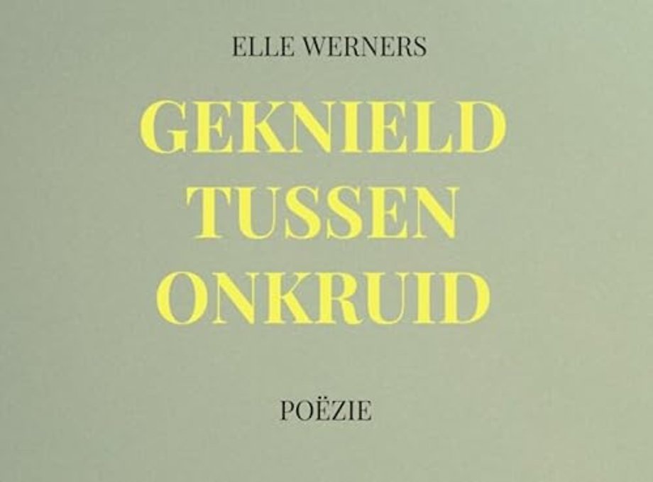 GEKNIELD TUSSEN ONKRUID