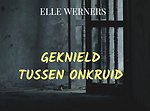 GEKNIELD TUSSEN ONKRUID
