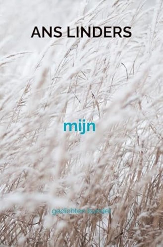 mijn