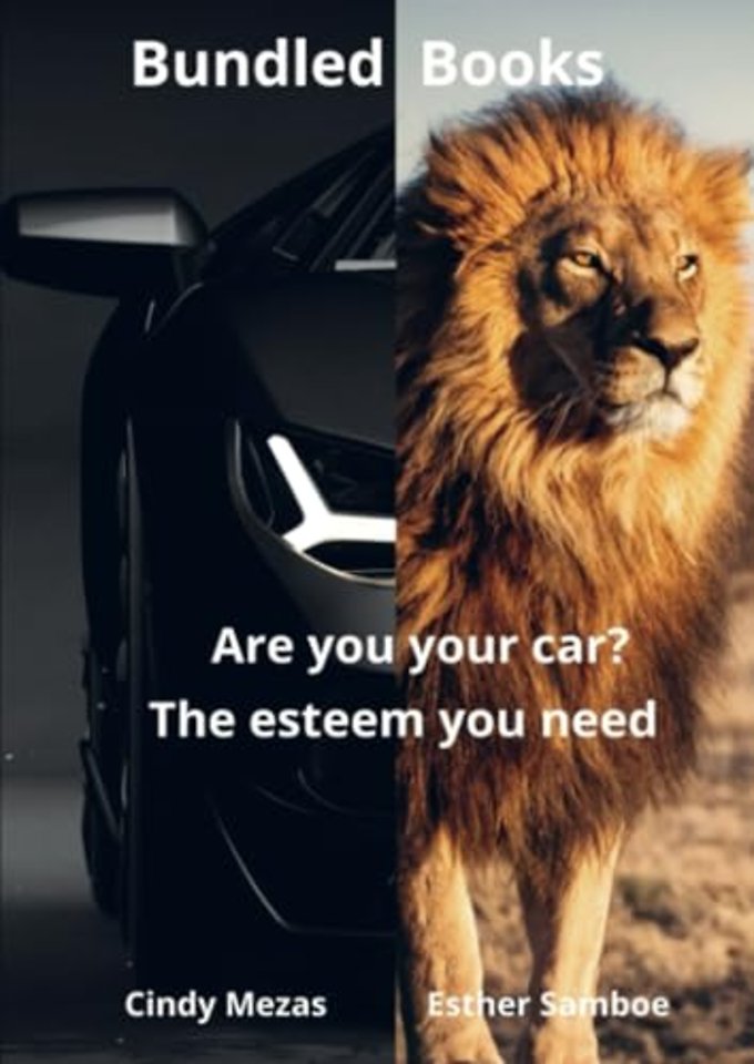 Bundled Books: Are You Your Car? | The Esteem You Need
