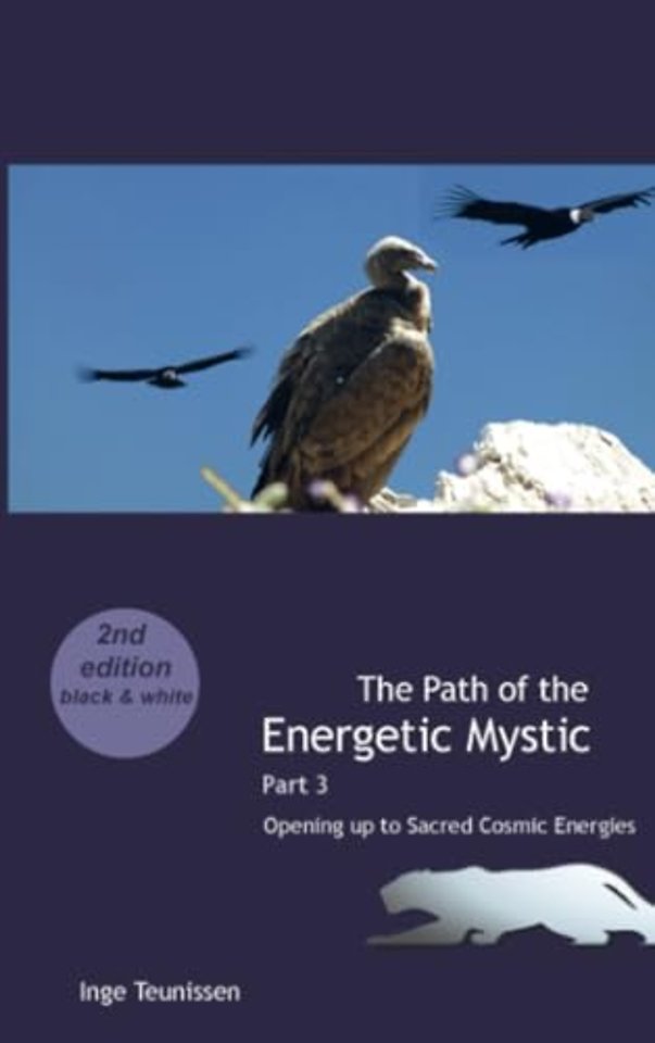 The Path of the Energetic Mystic
