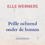 Prille ochtend onder de bomen