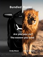 Bundled Books: Are You Your Car? | The Esteem You Need