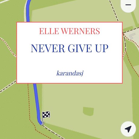 NEVER GIVE UP
