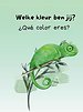 Welke kleur ben jij? Qué color eres?