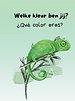 Welke kleur ben jij? Qué color eres?