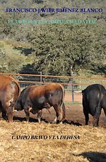 EL TORO EN LE CAMPO: CICLO VITAL