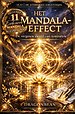 Het Mandal Effect - De vergeten sleutel van Symmetrie
