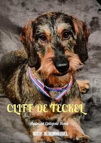 Cliff de Teckel, een hond van goud