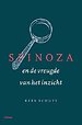 Spinoza en de vreugde van het inzicht