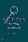 Spinoza en de vreugde van het inzicht
