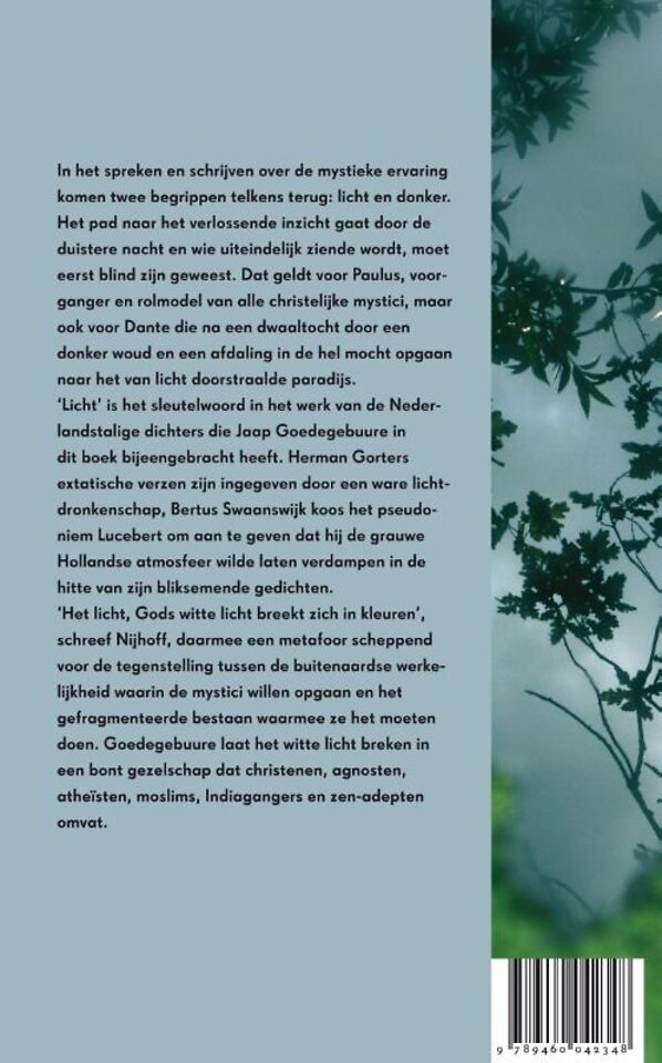 Wit licht