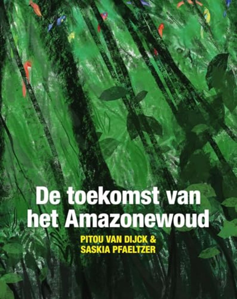 De toekomst van het Amazonewoud