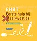 EHBT - Eerste hulp bij taalkwesties EHBT - Eerste hulp bij taalkwesties