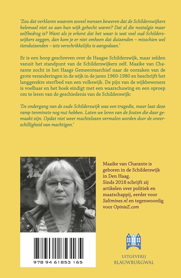 Het verdriet van de Schilderswijk