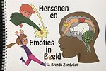 Hersenen en emoties in beeld
