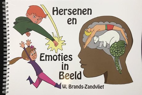 Hersenen en emoties in beeld