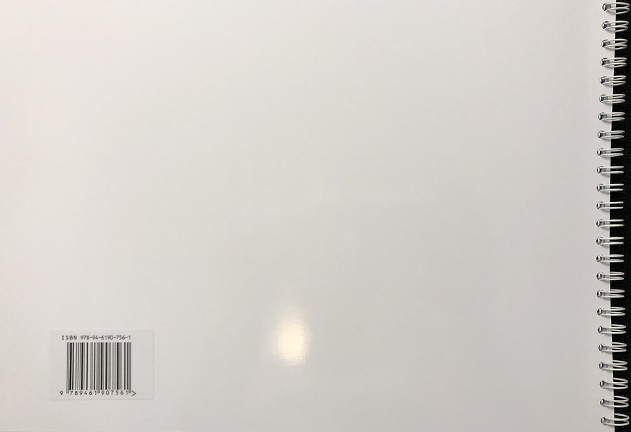 Hersenen en emoties in beeld