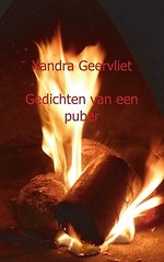 Gedichten van een puber