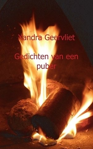 Gedichten van een puber