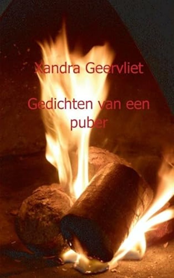 Gedichten van een puber