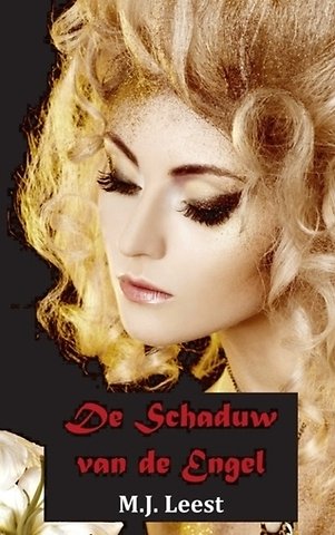 De schaduw van de engel