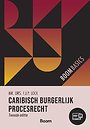 Boom Basics Caribisch burgerlijk procesrecht