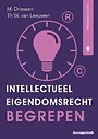Intellectuele eigendom begrepen